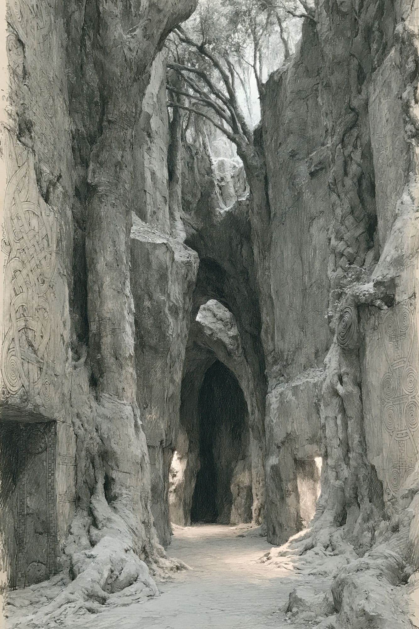 Ancient Tree Passage Illustration Poster. poster detail