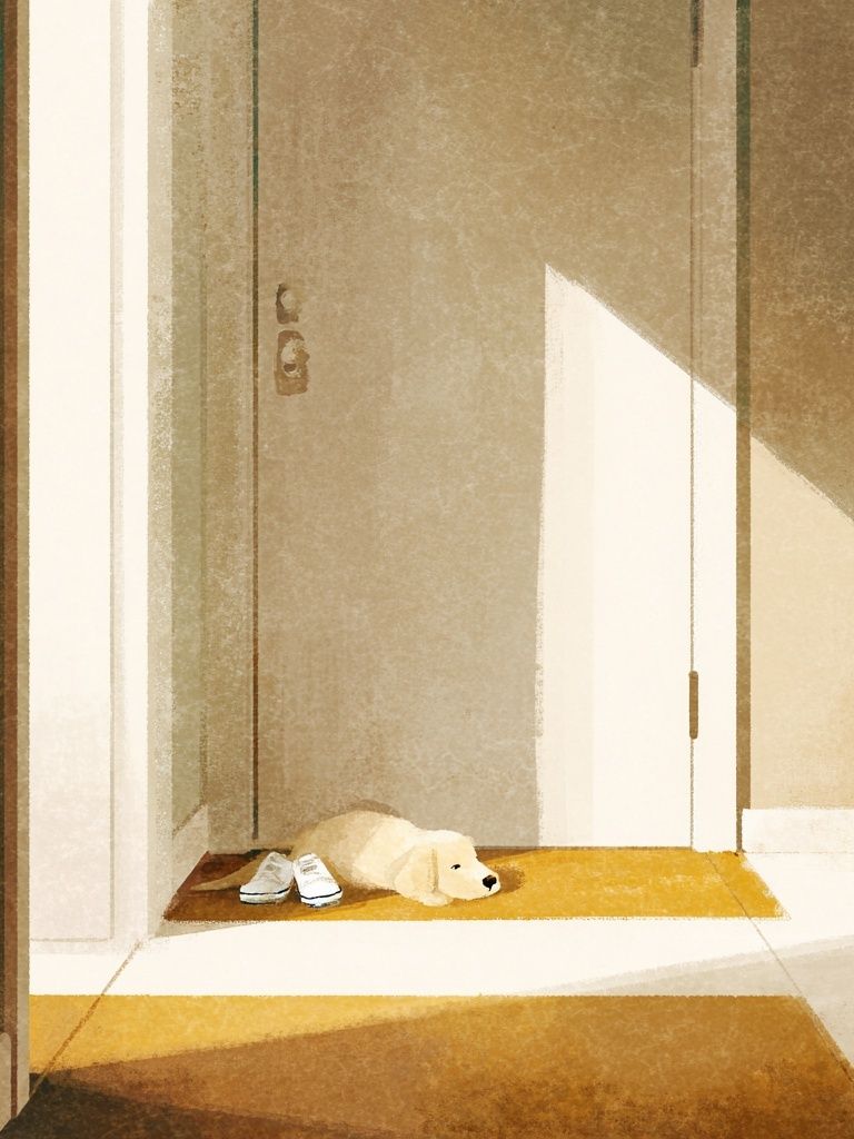 Sunlit Hallway with Sleeping Dog Print. poster detail