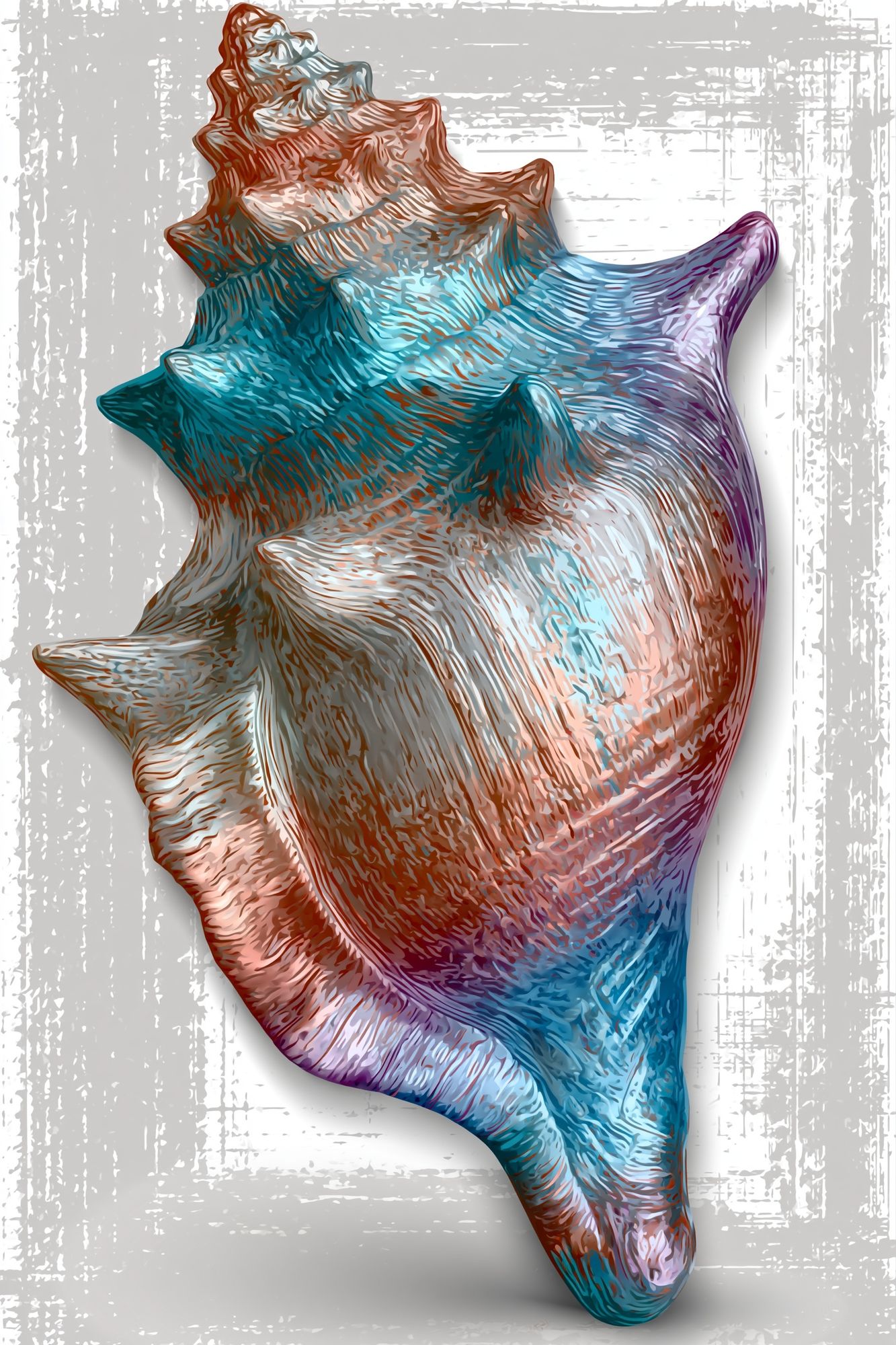 Colorful Seashell Illustration Poster. poster — illustration art