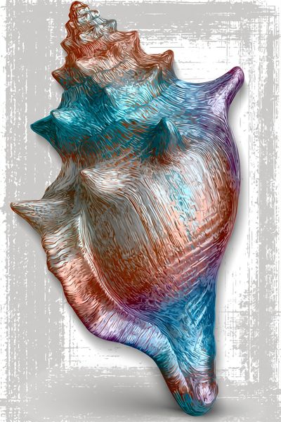 Colorful Seashell Illustration Poster.