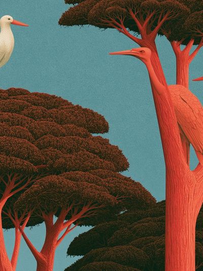 Crane Trees Illustration Poster. poster print