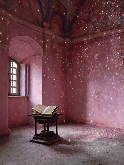 Enchanted Pink Library Poster. poster print