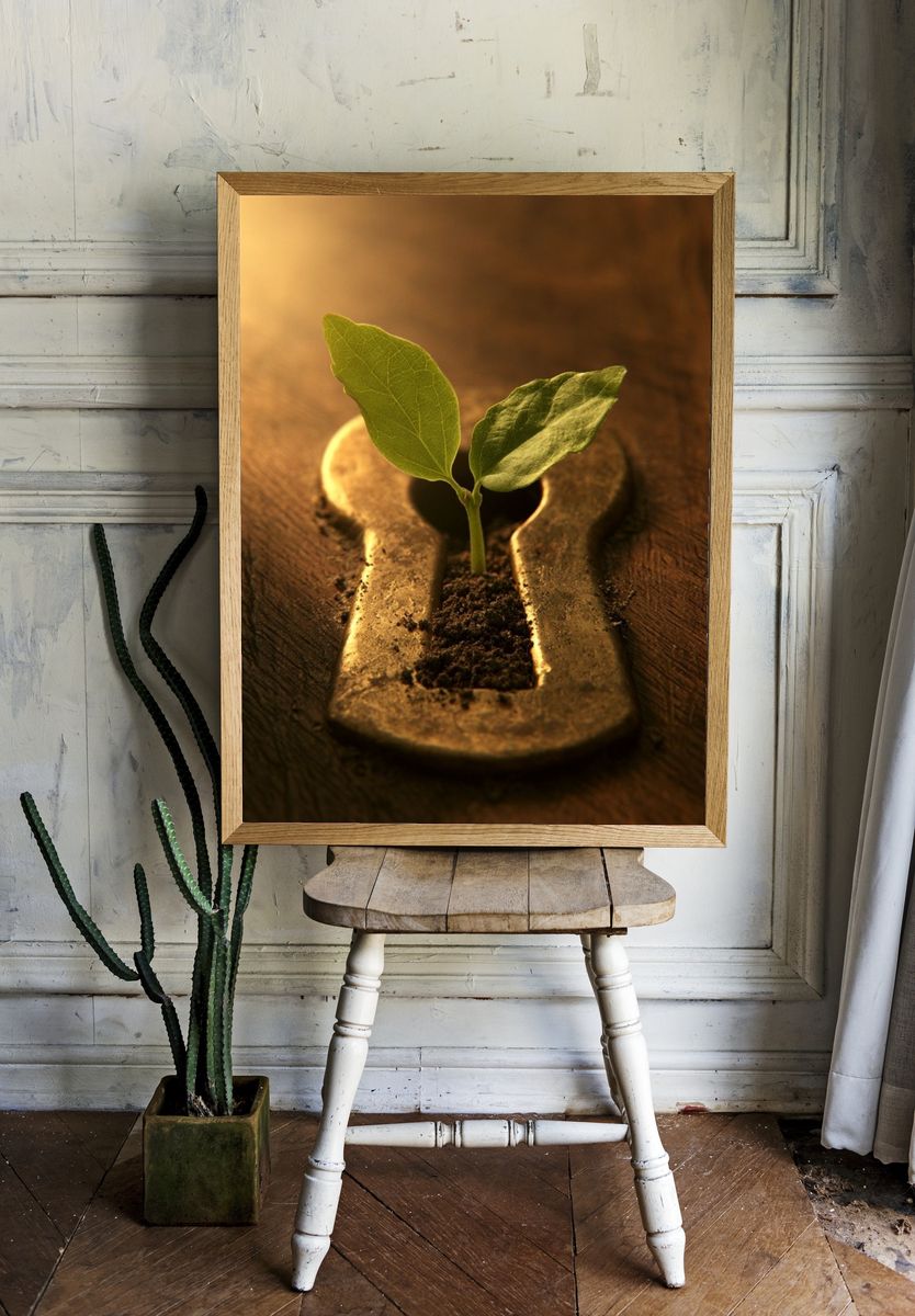 Keyhole Seedling Illustration Poster. — room view 1
