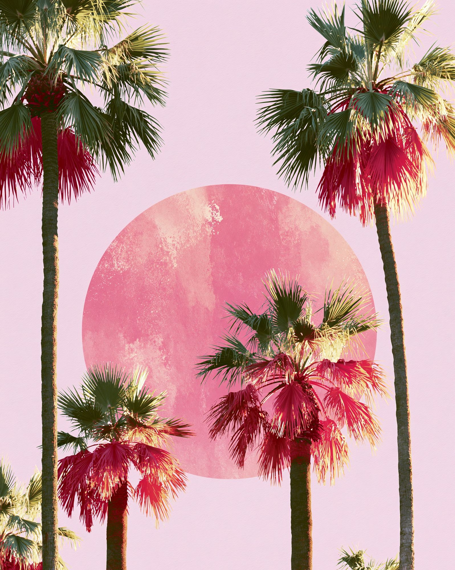 Pink Palm Sunset Illustration Poster. poster detail