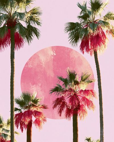 Pink Palm Sunset Illustration Poster. poster