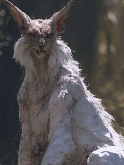 White Fox Creature Illustration Poster. poster
