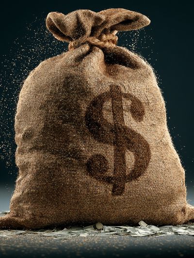Money Sack Illustration Poster. poster
