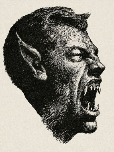 Werewolf Profile Illustration Poster. poster