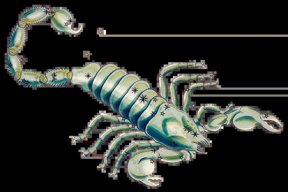 Dreamy Cats and Moon Illustration Poster. poster detail