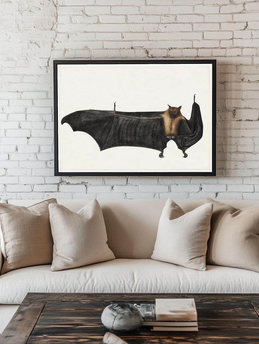 Great Indian Fruit Bat (ca. room preview