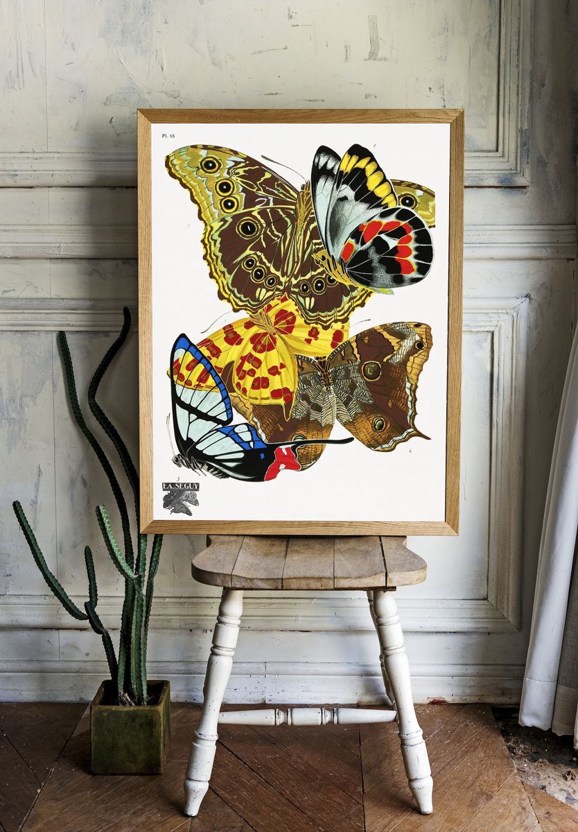 Butterfly Study Illustration Poster room preview