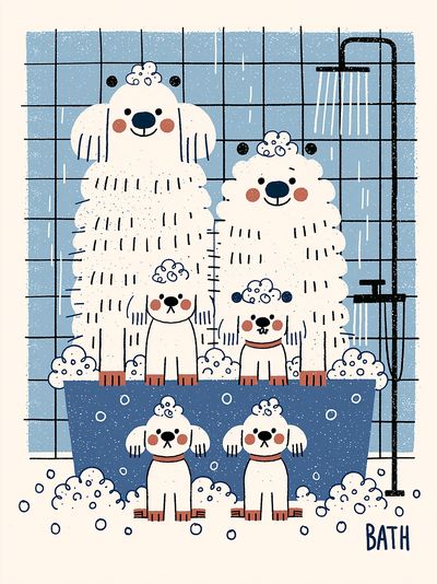 Poodle Bath Time Illustration Poster. poster