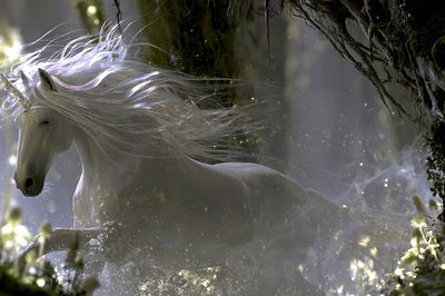 Mystic Unicorn Forest Print. poster print