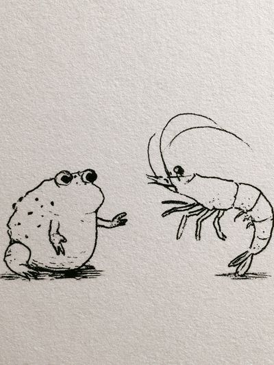 Frog and Shrimp Ink Illustration Poster. poster