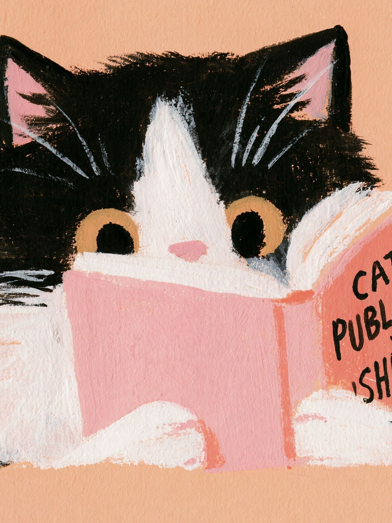 Cat Publishing Illustration Poster. poster detail