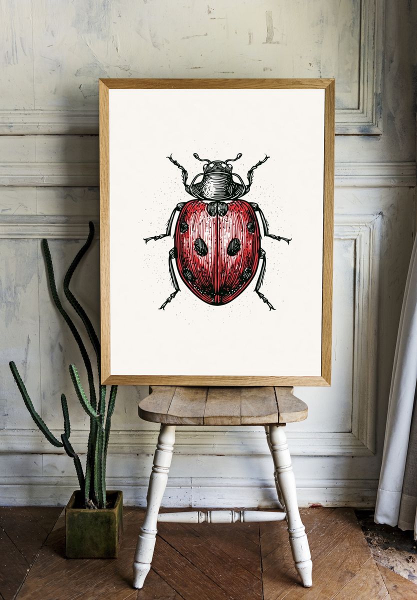 Ladybug Ink Illustration Poster. room preview