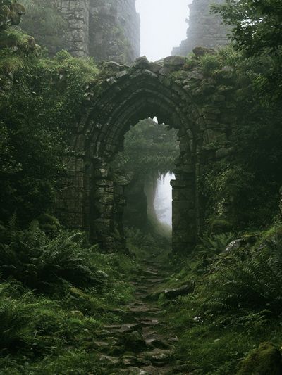 Mossy Ruins Forest Arch Poster. poster