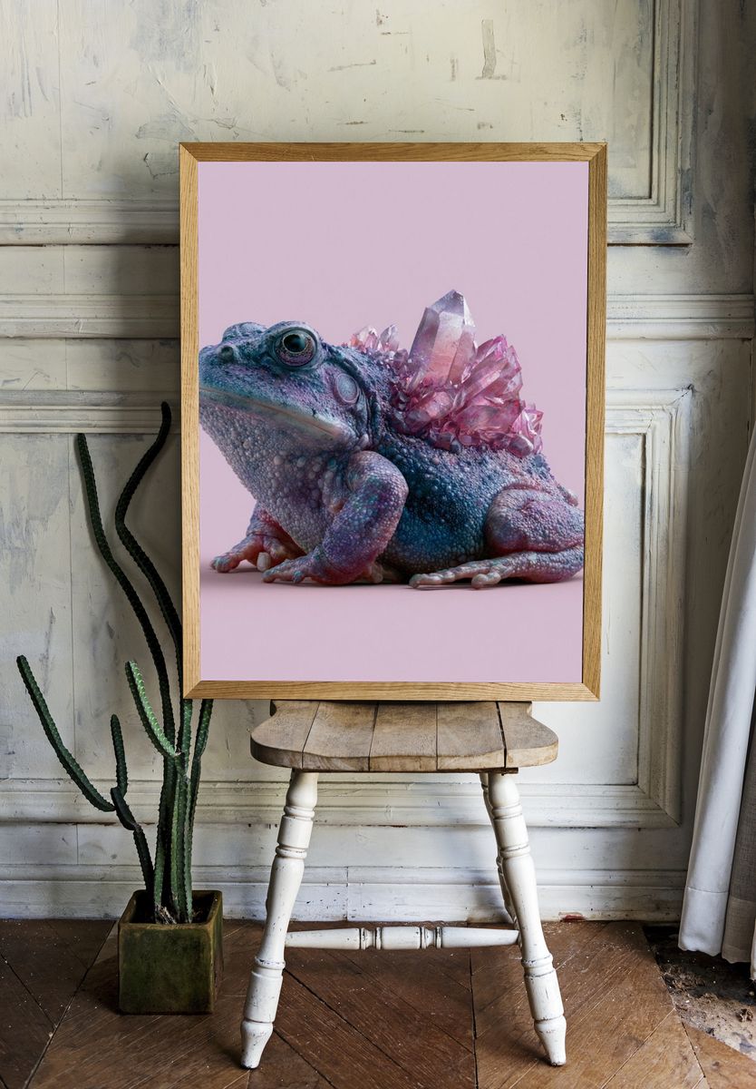 Crystal Toad Illustration Poster. — room view 1