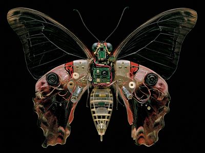 Cyber Butterfly Digital Art Print. poster
