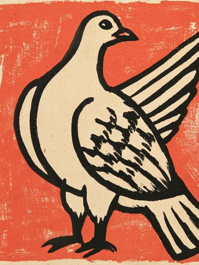 Pigeon Linocut Illustration Poster. poster