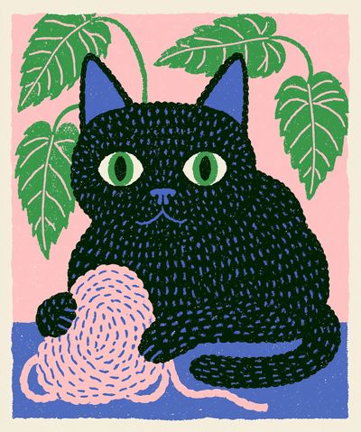 Black Cat with Plant Poster. poster