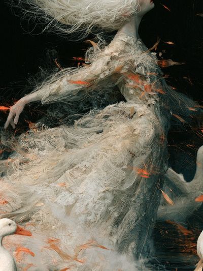 Dreamlike Swan Dance Illustration Poster. poster