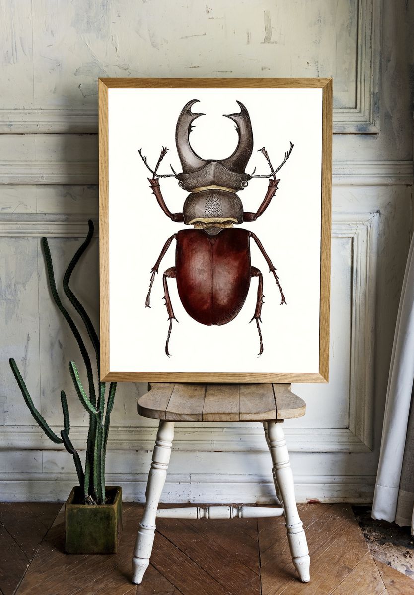 Stag Beetle Illustration Poster. — room view 1