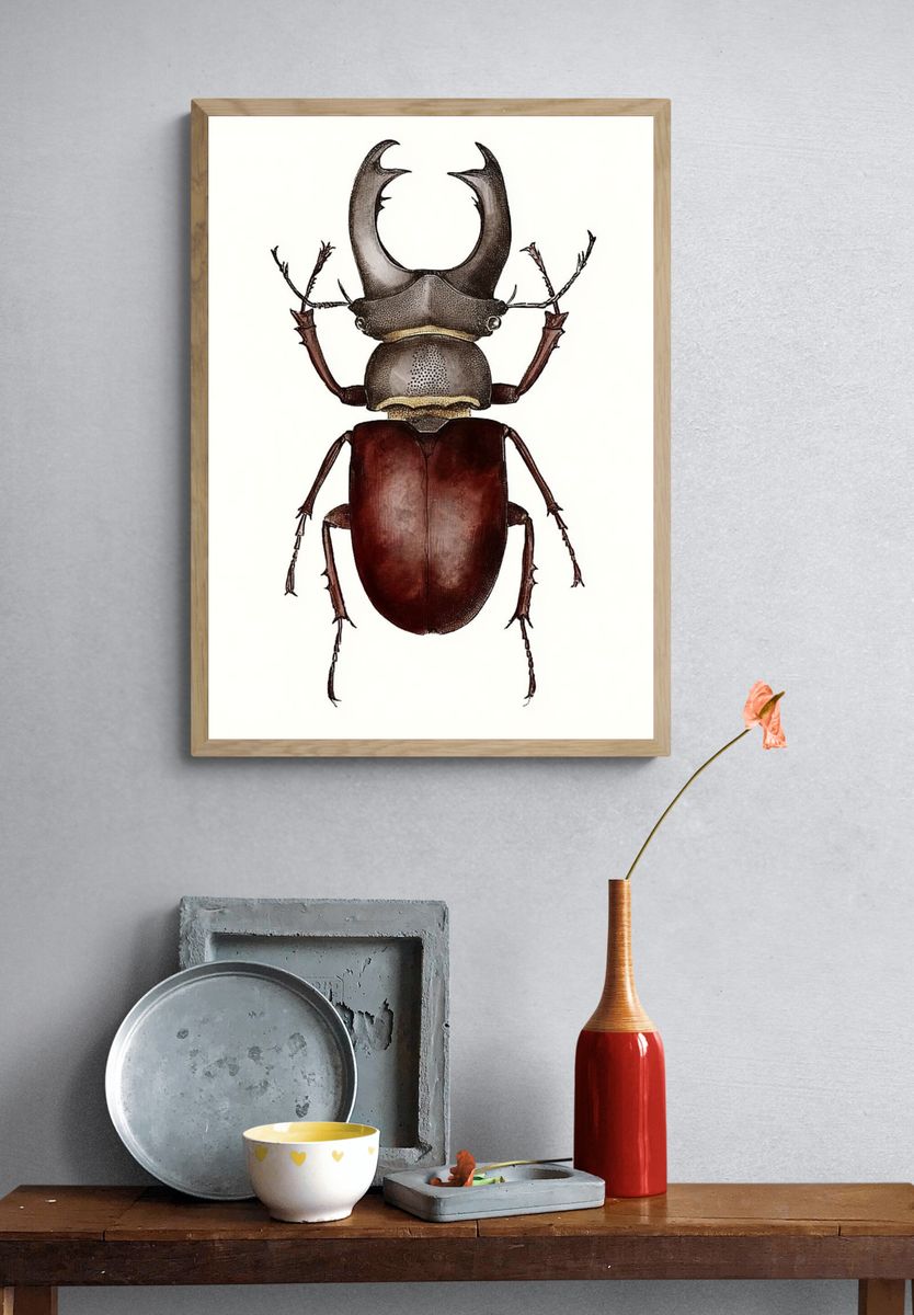 Stag Beetle Illustration Poster. — room view 3