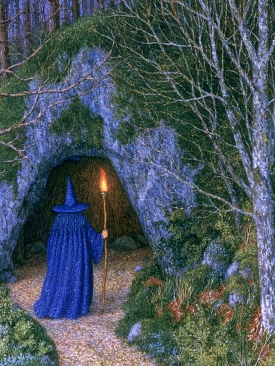 Wizard in Forest Cave Print. poster
