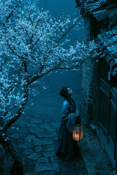 Moonlit Blossom Path Illustration Poster. poster