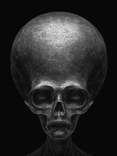Surreal Alien Skull Print.