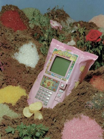 Surreal Pink Phone Garden Poster. poster print