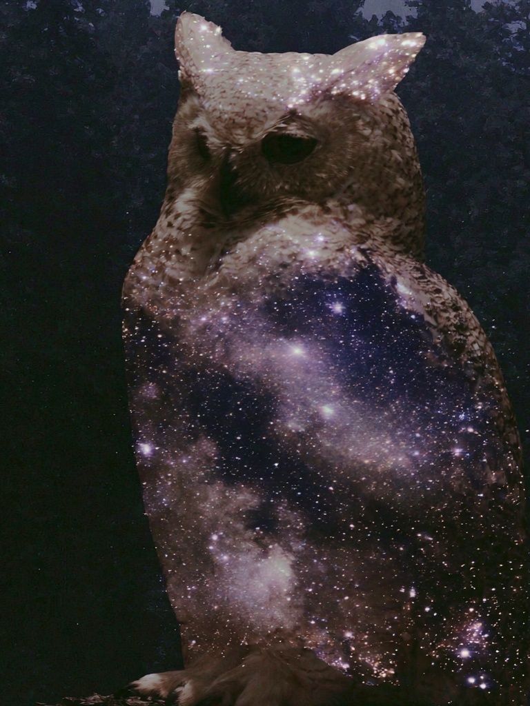 Cosmic Owl Illustration Poster. poster — illustration art