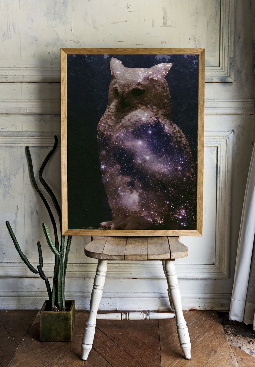 Cosmic Owl Illustration Poster. room preview