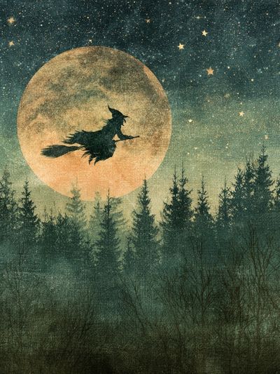 Witch Silhouette Moonlit Forest Poster.