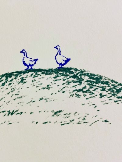 Two Geese on Hill Illustration Poster. poster print