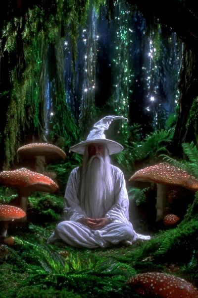 Wizard in Enchanted Forest Poster. poster print