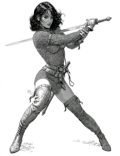 Sword Warrior Illustration Poster. poster print