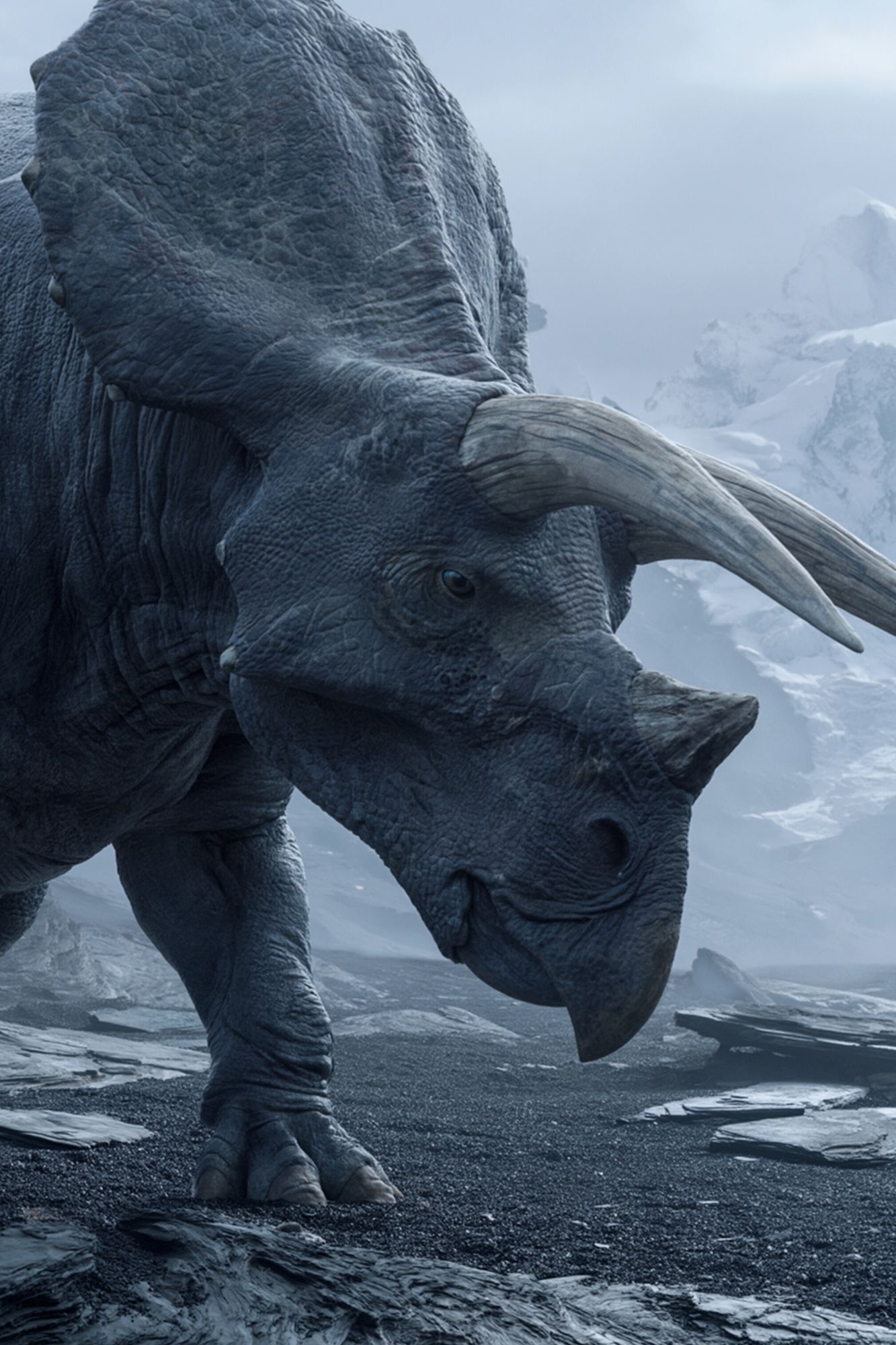 Triceratops in Ice Mist Print. poster — illustration art