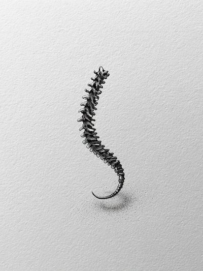 Spine Ink Illustration Poster.
