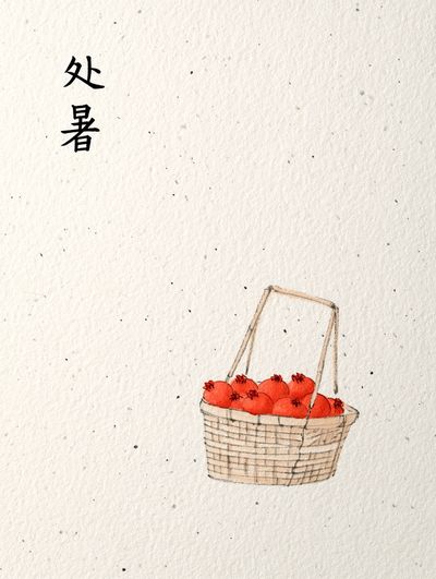 Persimmons Basket Watercolor Print. poster