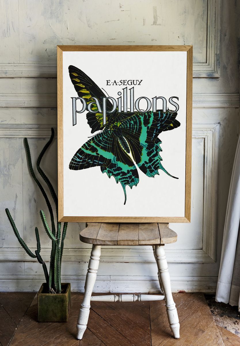 E.A. Séguy 's Papillons (1925). — room view 1