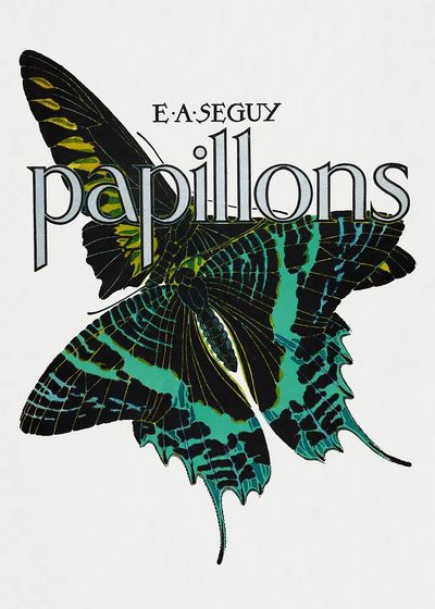 E.A. Séguy 's Papillons (1925). poster print