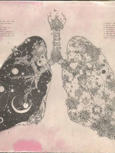 Celestial Lungs Illustration Poster. poster print