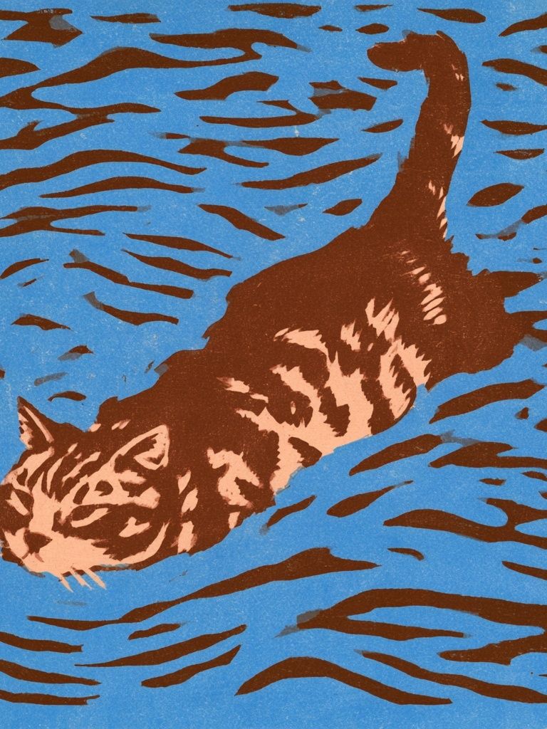 Swimming Cat Illustration Poster. poster — illustration art