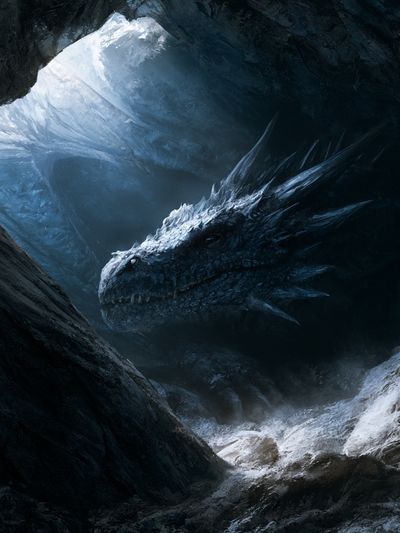 Ice Dragon Cave Illustration Poster. poster