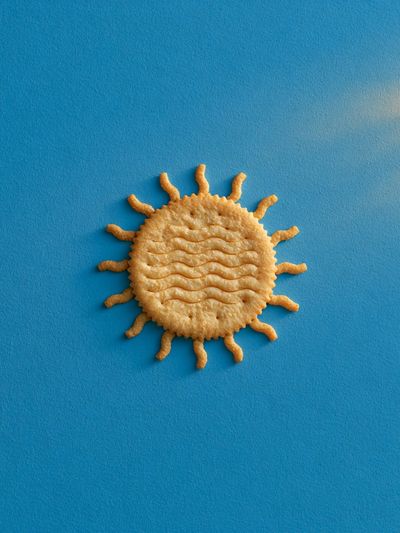 Sun Biscuit Illustration Poster. poster