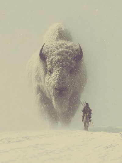 Snowy Buffalo Rider Fantasy Print. poster print