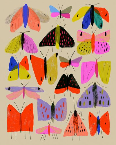 Colorful Butterflies Illustration Poster. poster print