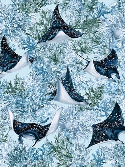 Manta Ray Reef Illustration Print. poster